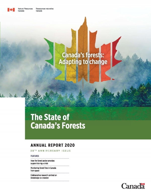 forest report 2020