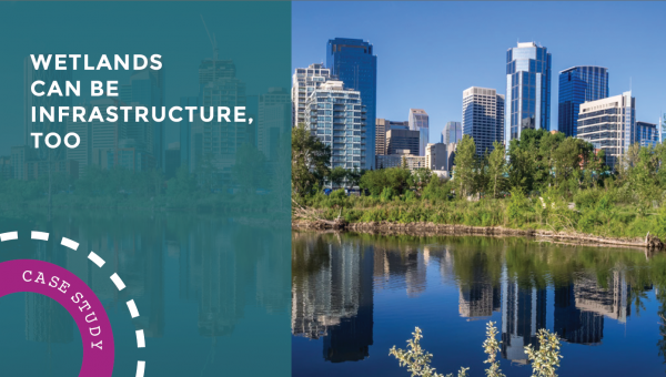 wetalnd infrastructure report