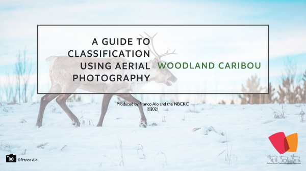 Screenshot of the cover page of the guide