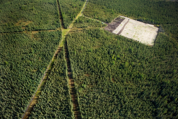 Drone view of pad and linear features