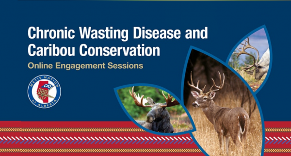 TEXT: Chronic Wasting Disease and Caribou Conservation: Online Engagement Sessions. DESCRIPTION: Images of a moose, caribou, and white-tailed deer are featured on a blue background. The logo of the Métis Nation of Alberta appears on the left side of the image.
