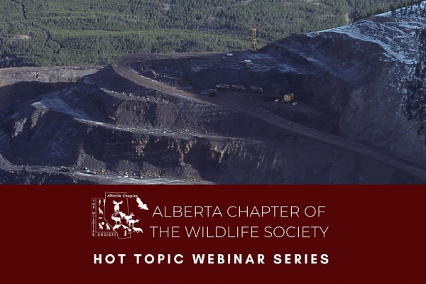 ACWS Coal Mining Rec Web Flyer