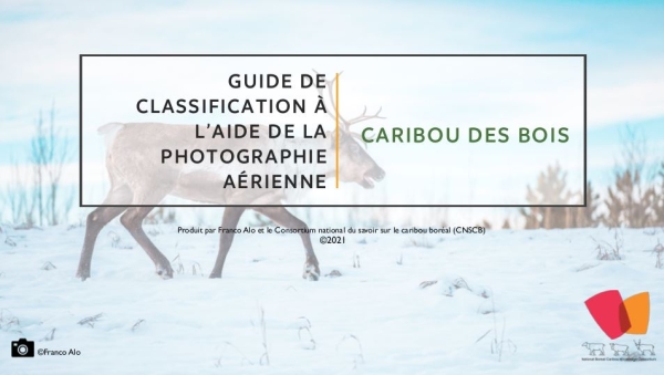 Prise d'ecran de la page de couverture