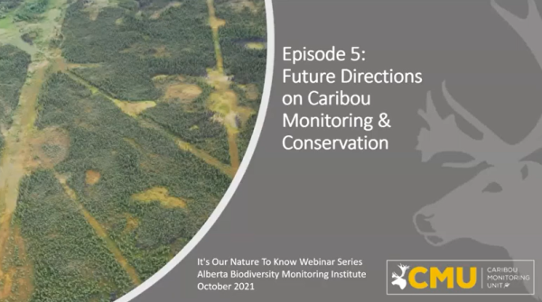 &quot;ABMI's Future Directions on Caribou Monitoring and Conservation&quot; Webinar title slide