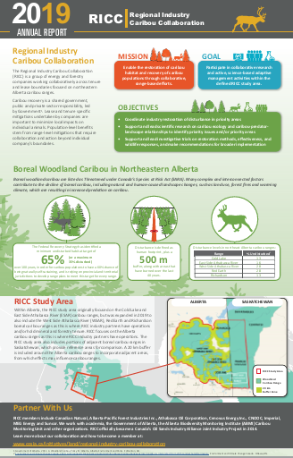 2019 RICC Annual Report - front page