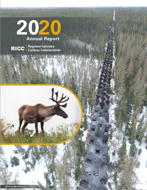 2020 RICC Annual Report Cover
