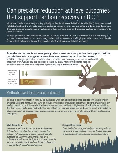 Results_Part1_BC_infographic_screenshot