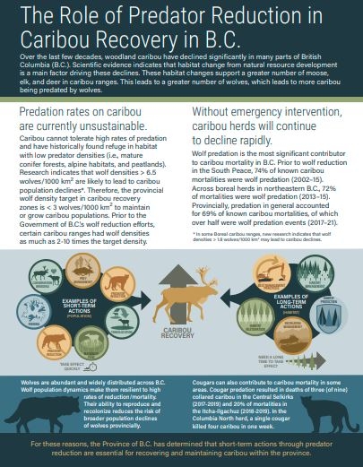 Background_Part2_BC_infographic