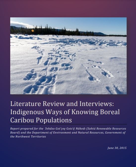 Cover of report: Literature review and interviews: Indigenous ways of knowing boreal caribou populations