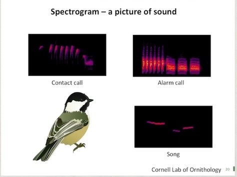 Screen shot from video