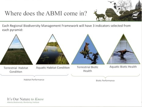 Screen shot from video