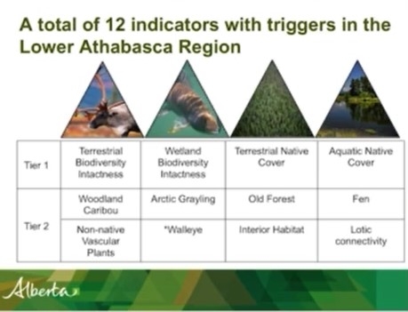 Screen shot from video