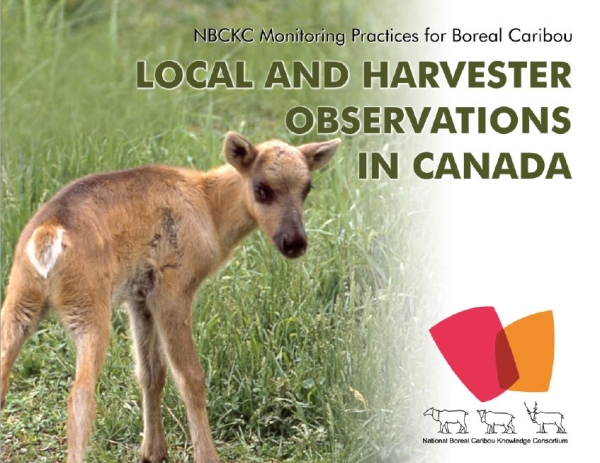 Screenshot of the cover page