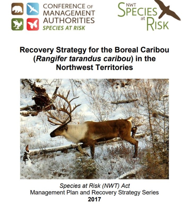 NWT's Recovery Strategy- boreal caribou