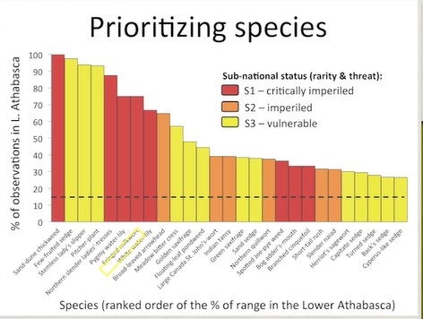 Screen shot from video