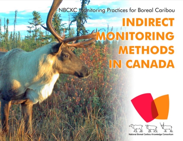 Screenshot over cover slide of report