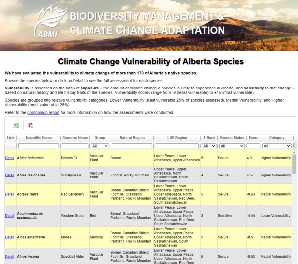 Screen shot of website