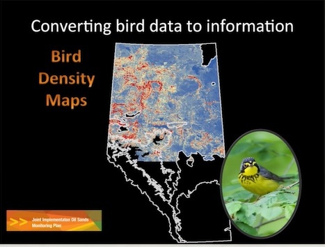 Screen shot from video