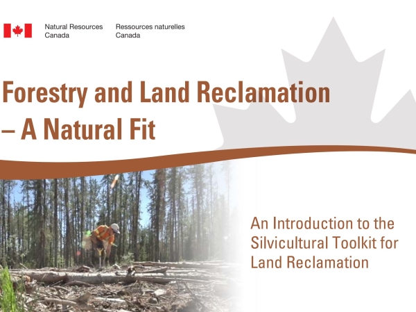 Forestry and Land Reclamation: a natural fit