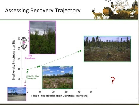 Screen shot from video