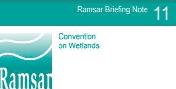 Practical Peatland Restoration