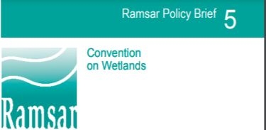 Ramsar Policy Brief