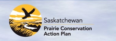 Saskatchewan Prairie Conservation Action Plan