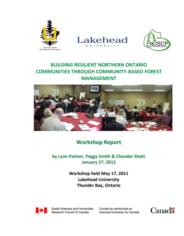 Workshop report cover page