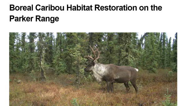 Image associated with Golder-led project-Parker Range Restoration