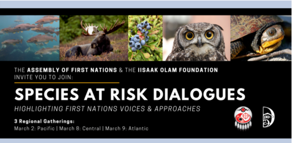FN Species at Risk Dialogues event photo