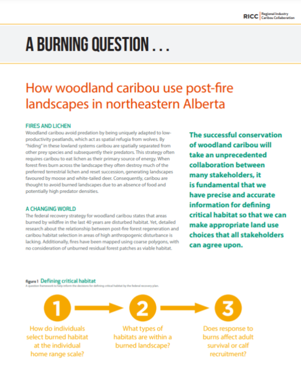 Cover-RICC_Report-2018