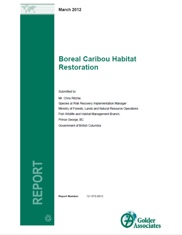 Report cover