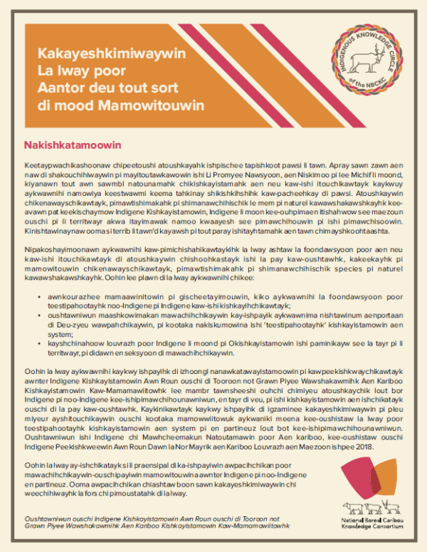 Principles for Cross-Cultural Collaboration_Michif thumbnail