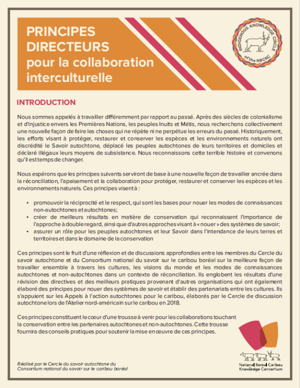 Principles for Cross-Cultural Collaboration_FR thumbnail