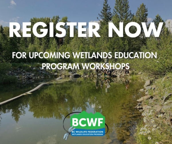 WetlandKeeper Workshop