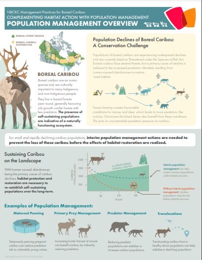 Screenshot of factsheet