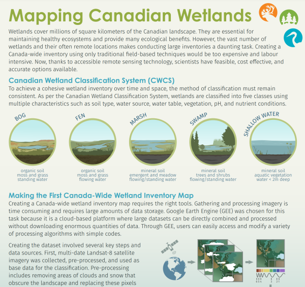 Wetland Mapping Briefing Note