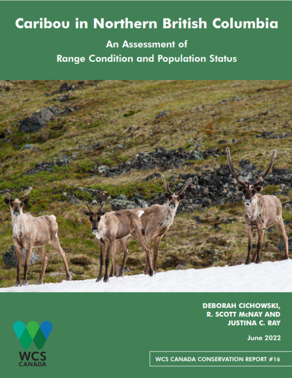 WCS report cover page