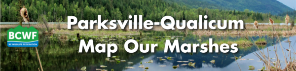 Map Our Marshes