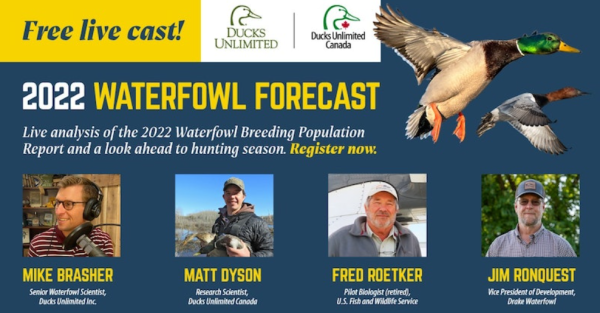 Waterfowl Forecast
