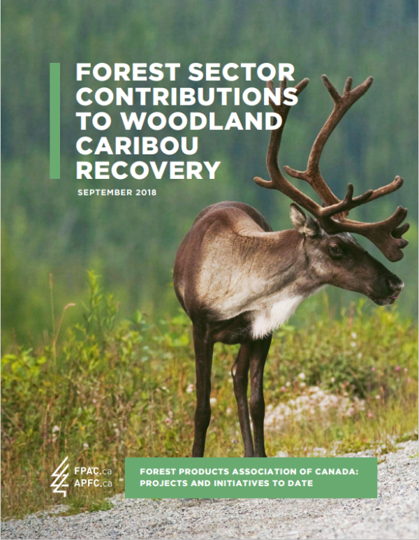 Cover page of report