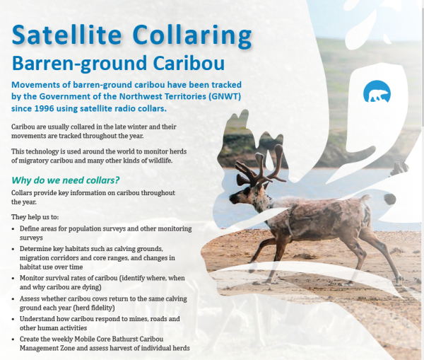 Fact sheet cover with title, and caribou photo within a stylized caribou antler profile