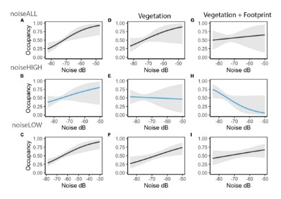 Noise impacts Sparrow Occupancy