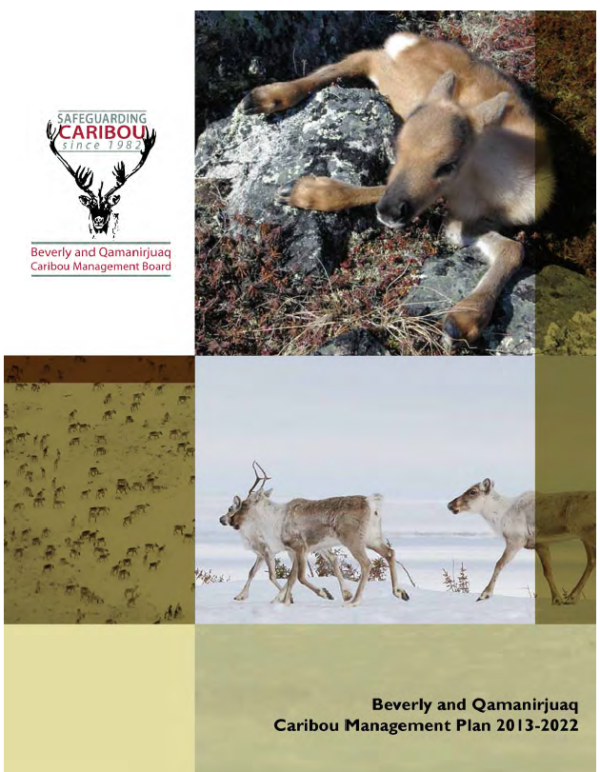 A report cover showing 5 images- a caribou calf, 2 caribou adults in the snow, an aerial photo of a herd of caribou, and the logo of the Beverly and Qamanirjuak Caribou Management Board