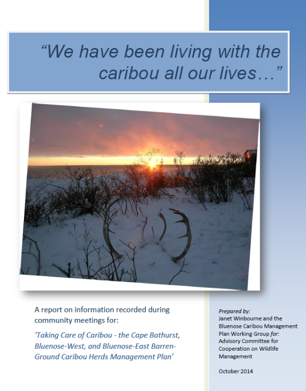 Report cover with photo of caribou antlers in the snow