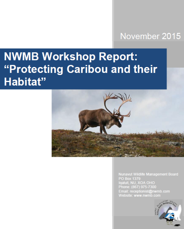 Report cover that includes a photo of a large caribou on the grassy tundra