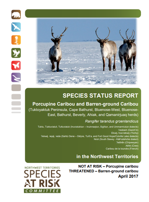 Status report cover page