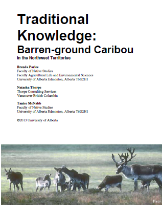 Report title and authors, with photo of 7 caribou standing on the tundra