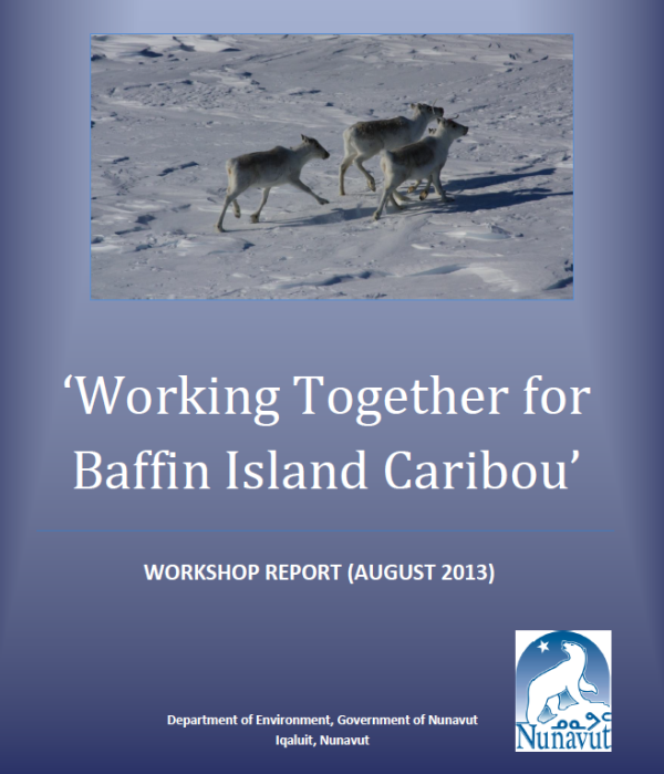 Three caribou walking in the snow centred in a blue report cover