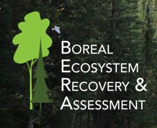 BERA Logo